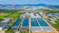 镇海区国有资产办理办事核心